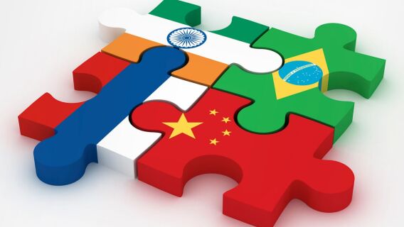 BRIC Developing Emergin Countries Puzzle