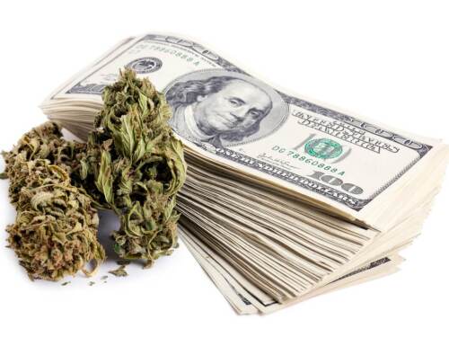 Marijuana Cash Stocks