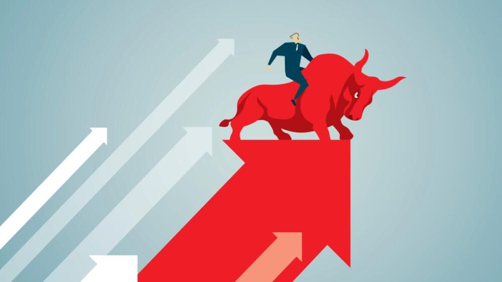 Bull Growth Stock Market