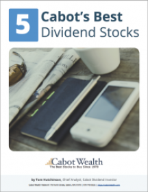 Best Dividend Stocks Report Cover