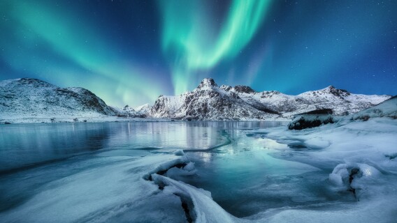 Aurora Borealis, Lofoten islands, Norway. Mountains and frozen ocean. Winter landscape in the night time. Northern light - Arctic Circle