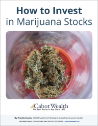 How to Invest in Marijuana Stocks Report Cover