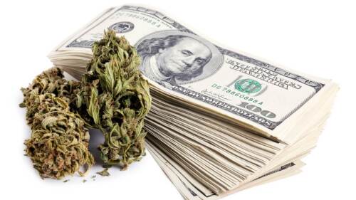 Marijuana Cash Cannabis Stocks