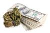 Marijuana Cash Cannabis Stocks