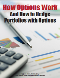 How Options Work and How to Hedge Portfolios with Options