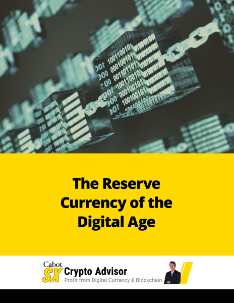 The Reserve Currency of the Digital Age Report Cover