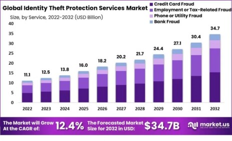 identity theft protection market size.jpg