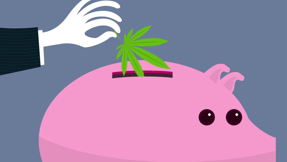 Marijuana leaf piggy bank averaging into cannabis stocks, saving marijuana stocks