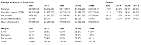 NamSys Financial Projections