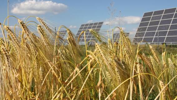 Solar Energy Panels Wheat Field Solar Stocks Food Stocks