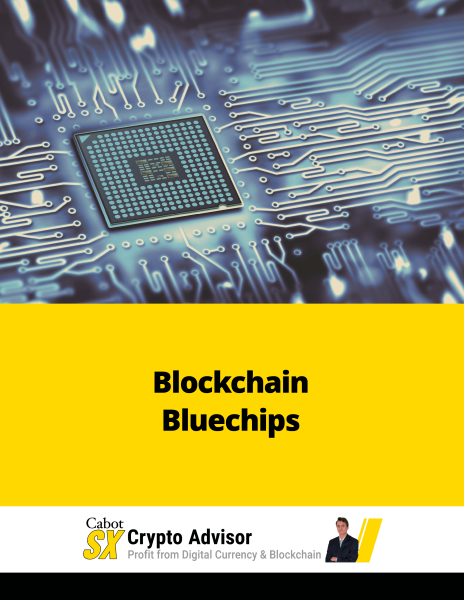 Blockchain Blue Chips Report Cover