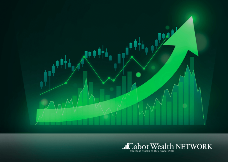 The Best Performing Large Cap Stocks Of 2024 Cabot Wealth Network the-best-performing-large-cap-stocks-of-2024-cabot-wealth-network
