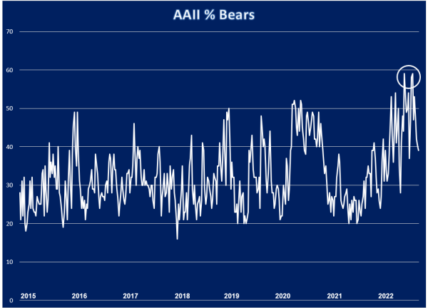 Investor bearish sentiment at the beginning of the bear market rally/new bull market.