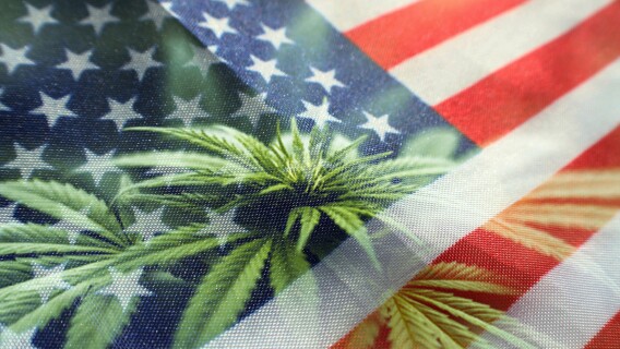 Cannabis With American Flag With Marijuana Plant, Presidential Election Harris Trump