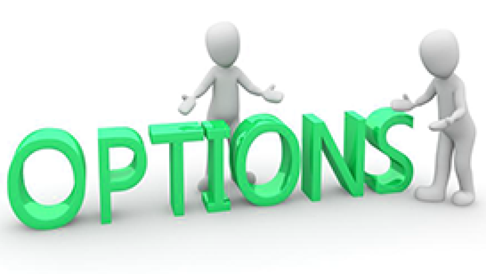 What are Options in Investing?