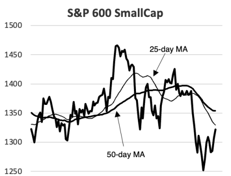 S&P600SmallCap_CGI_20220210