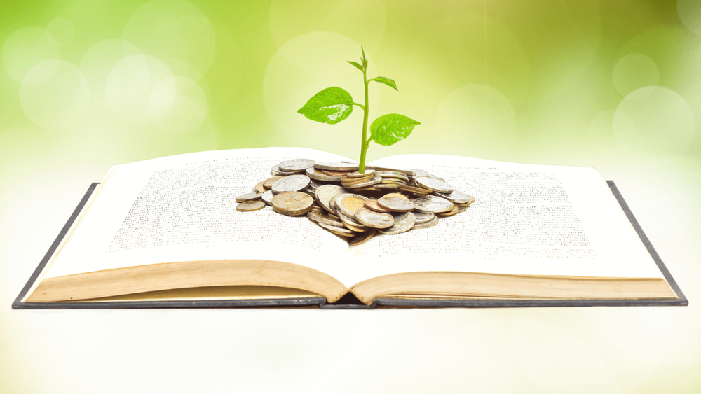 book-reading-growing-money lesson