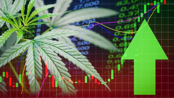 Business marijuana leaves cannabis stock success market price green arrow up profit growth