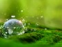 Glass globe in green forest with the icon environment of ESG, co2, circular company, and net zero ESG and transition investing.