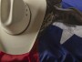 Texas flag wrapping cowboy hat and boots, signifying a Texas Hedge