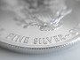 Macro close up of a pure Silver Bullion coin, buying silver
