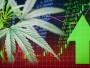 Business marijuana leaves cannabis stock success market price green arrow up profit growth