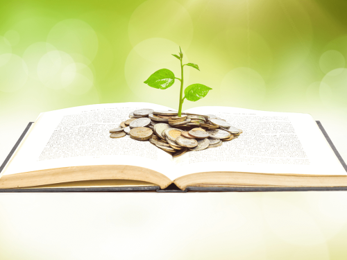 book-reading-growing-money