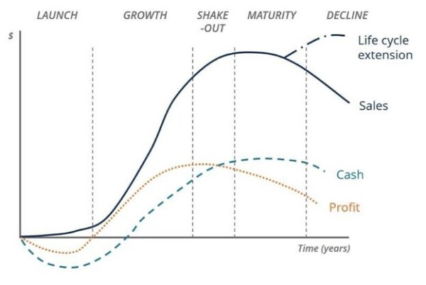 Graph of company lifestyle and how companies mature and eventually become profitable in earnings seasons