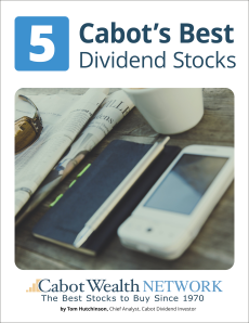 1839702_5 Best Dividend Stocks Report_120123.png