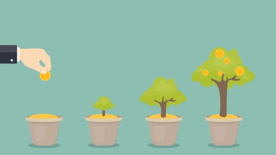 Growing money tree. Growth investing and rules for growth investing