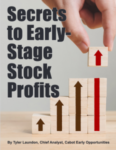 Early Stage Stock Profits